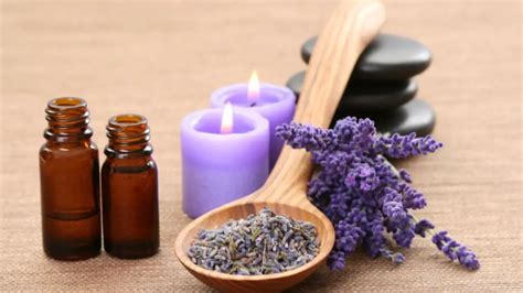 The Magickal Uses of Lavender Essential Oil